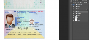 دانلود لایه باز پاسپورت هلند