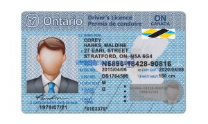 دانلود لایه باز گواهینامه رانندگی کانادا ONTARIO
