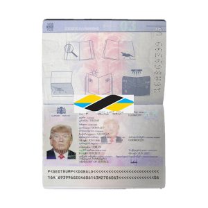 دانلود لایه باز پاسپورت گرجستان