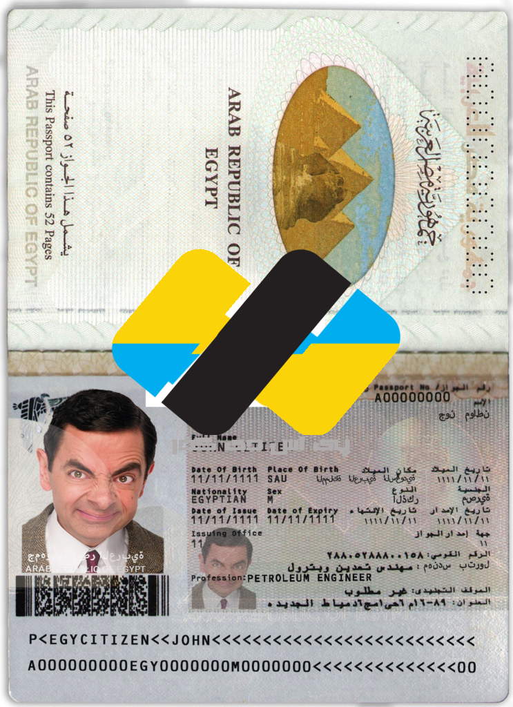 لایه باز پاسپورت مصر