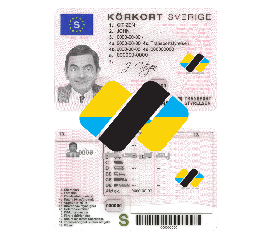 Sweden driving license template in PSD دانلود گواهینامه جدید سوئد