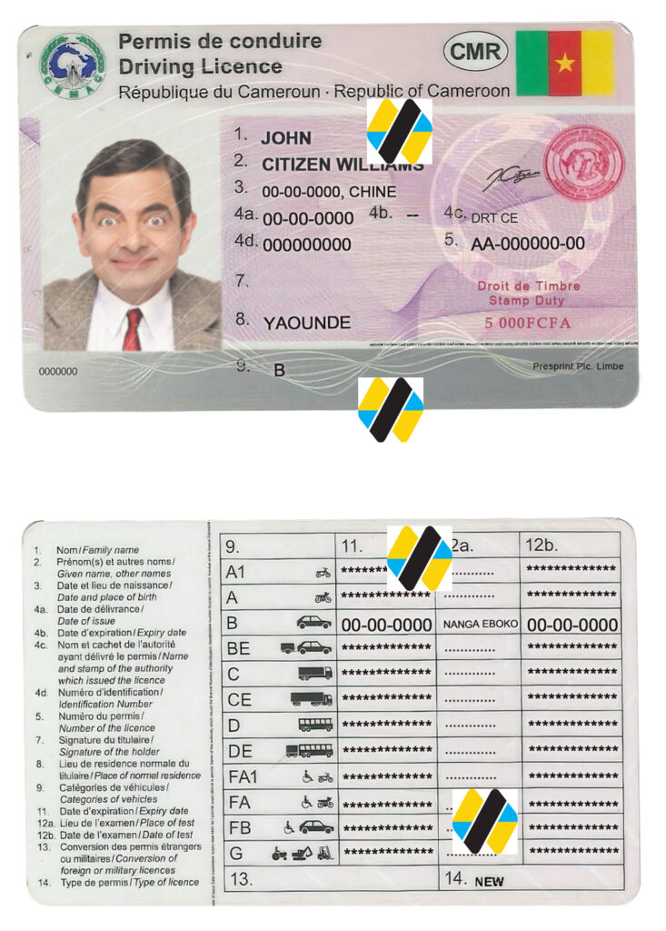 دانلود لایه باز گواهینامه رانندگی کامرون | download new version Cameroon driving license psd template